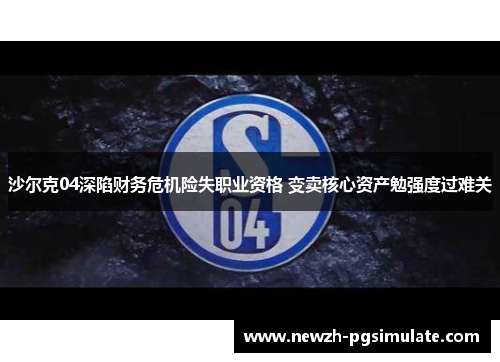 沙尔克04深陷财务危机险失职业资格 变卖核心资产勉强度过难关