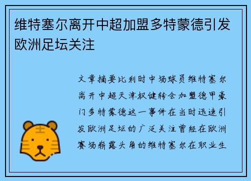 维特塞尔离开中超加盟多特蒙德引发欧洲足坛关注